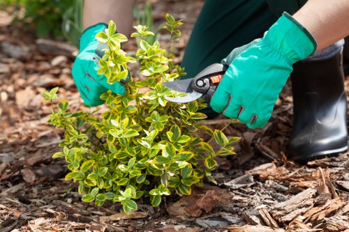 Professional landscaping team planning a garden