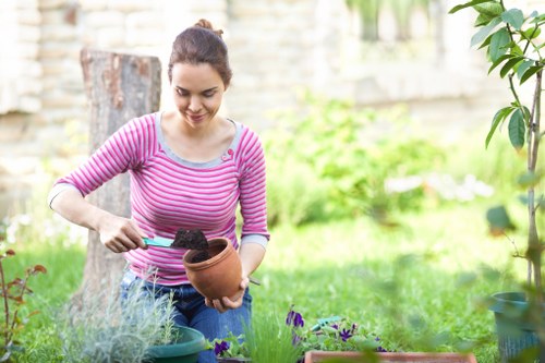 Lush green garden in Knightsbridge with expert care