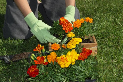 Volunteers and staff donating compost and plants to a community garden project