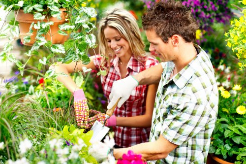 Diverse plant selection in a Knightsbridge garden