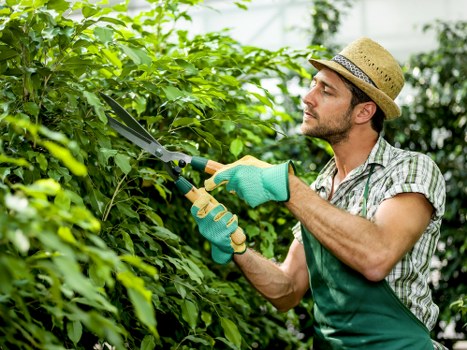 Professional garden maintenance services in Knightsbridge