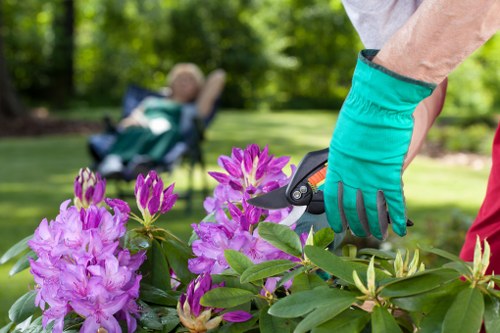 Sustainable landscaping practices in Knightsbridge