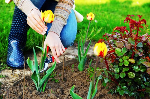 Advanced lawn mowing equipment used by Knightsbridge professionals