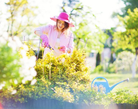 Knightsbridge garden maintenance services at work