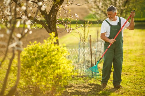 Professional garden maintenance services